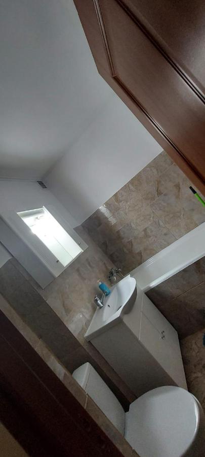 Apartament Flora Apartament Satu Mare Zewnętrze zdjęcie