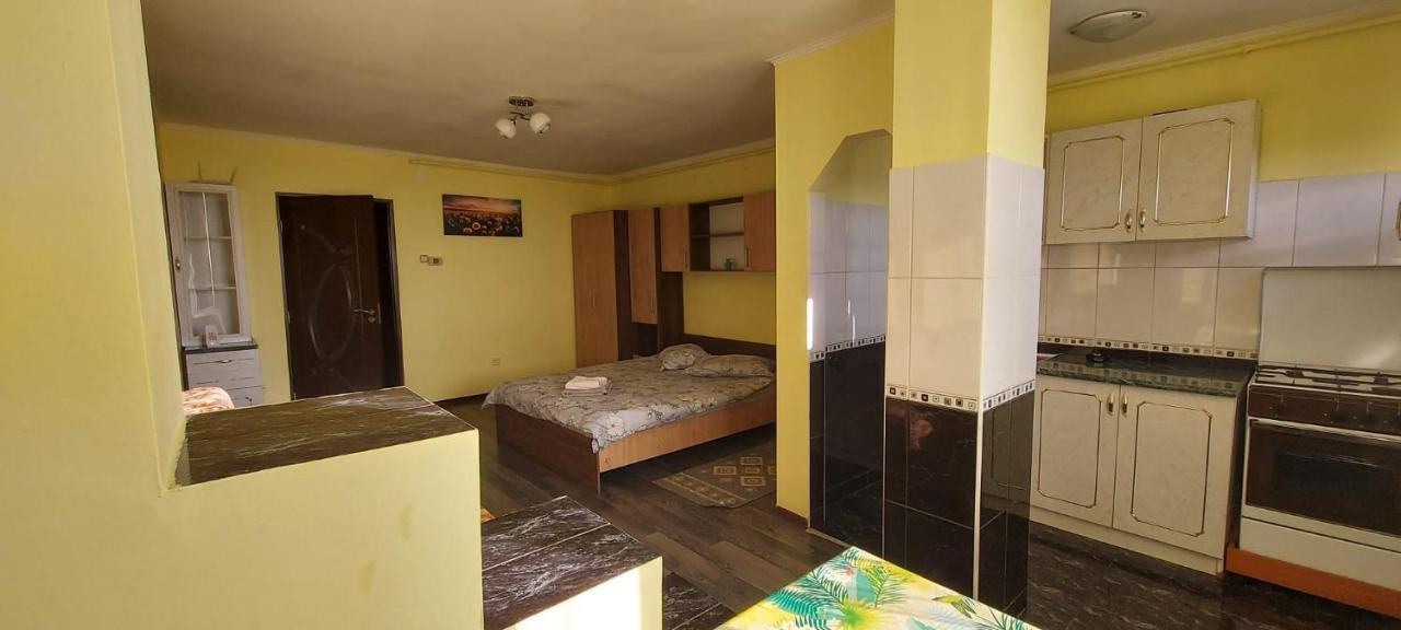 Apartament Flora Apartament Satu Mare Zewnętrze zdjęcie