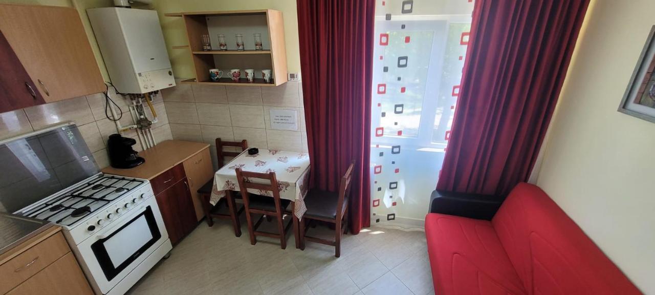 Apartament Flora Apartament Satu Mare Zewnętrze zdjęcie
