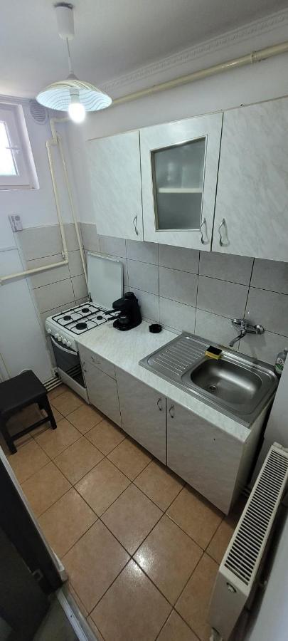 Apartament Flora Apartament Satu Mare Zewnętrze zdjęcie