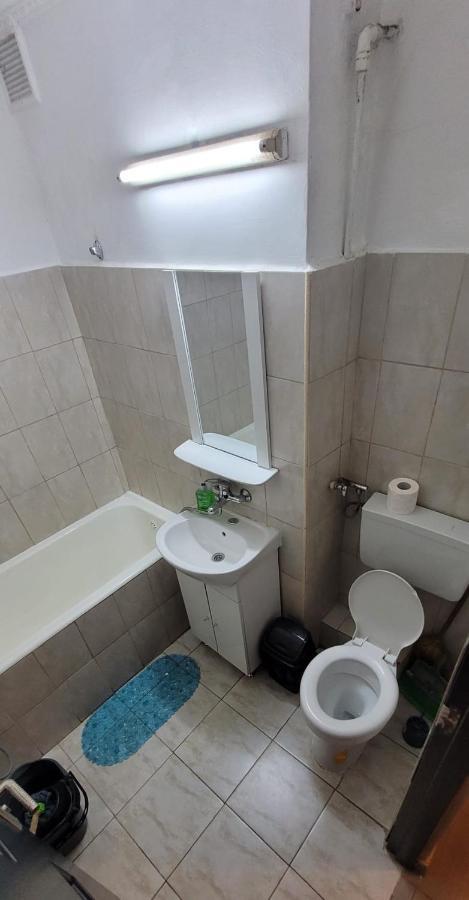 Apartament Flora Apartament Satu Mare Zewnętrze zdjęcie
